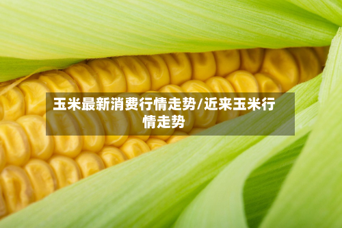 玉米最新消费行情走势/近来玉米行情走势