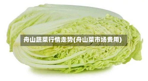 舟山蔬菜行情走势(舟山菜市场费用)-第2张图片