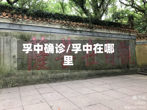 孚中确诊/孚中在哪里