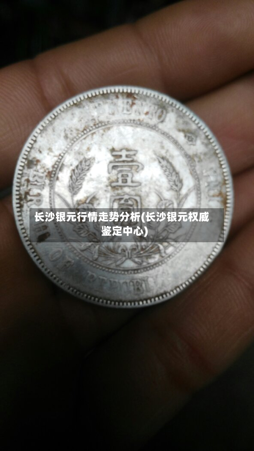 长沙银元行情走势分析(长沙银元权威鉴定中心)-第2张图片