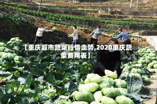 【重庆超市蔬菜行情走势,2020重庆蔬菜费用表】-第2张图片