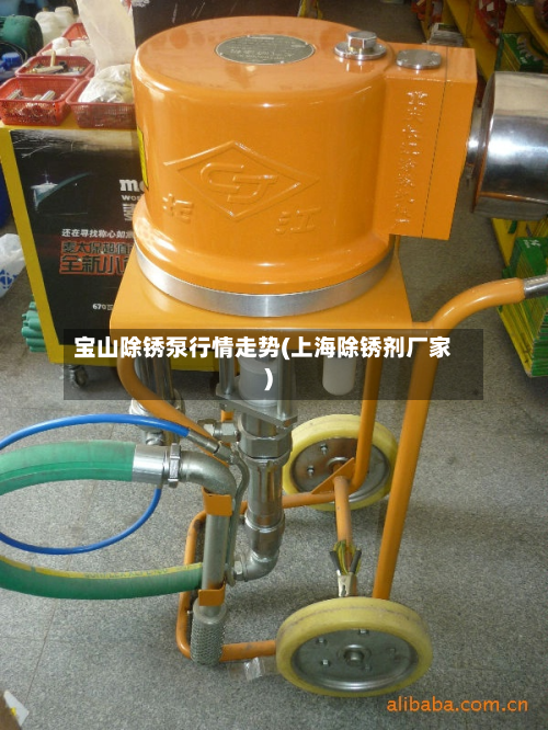 宝山除锈泵行情走势(上海除锈剂厂家)-第2张图片