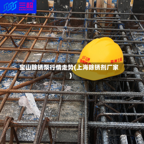 宝山除锈泵行情走势(上海除锈剂厂家)