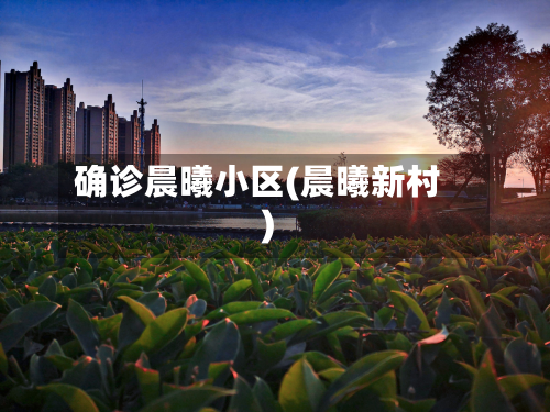 确诊晨曦小区(晨曦新村)