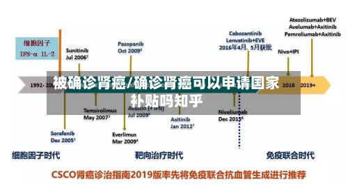 被确诊肾癌/确诊肾癌可以申请国家补贴吗知乎