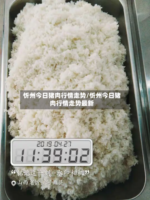 忻州今日猪肉行情走势/忻州今日猪肉行情走势最新