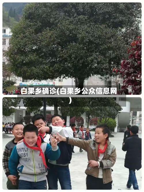白果乡确诊(白果乡公众信息网)