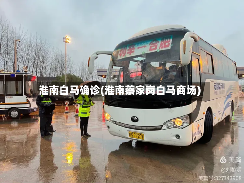 淮南白马确诊(淮南蔡家岗白马商场)-第2张图片