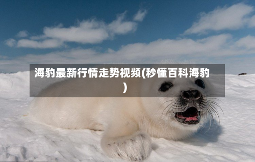 海豹最新行情走势视频(秒懂百科海豹)