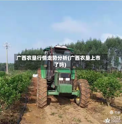 广西农垦行情走势分析(广西农垦上市了吗)-第2张图片