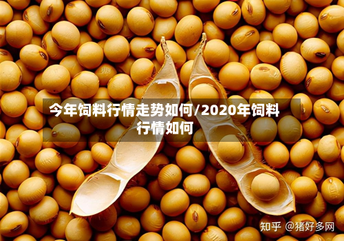 今年饲料行情走势如何/2020年饲料行情如何