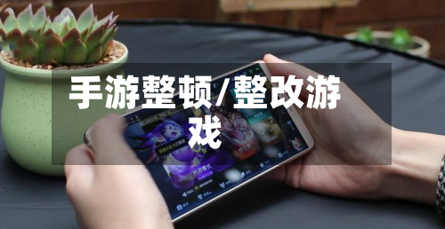 手游整顿/整改游戏