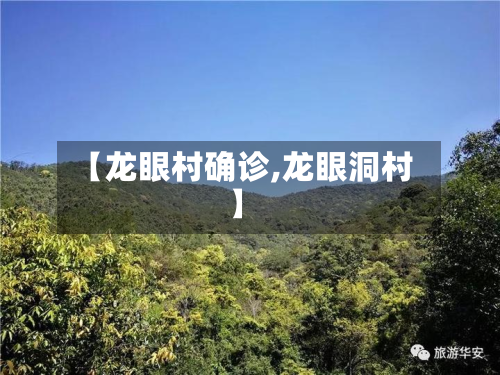 【龙眼村确诊,龙眼洞村】