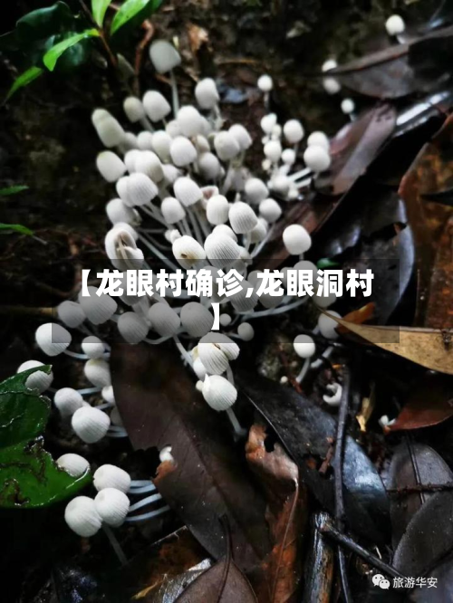 【龙眼村确诊,龙眼洞村】-第2张图片