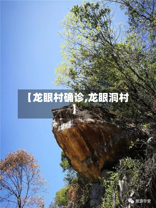 【龙眼村确诊,龙眼洞村】-第3张图片