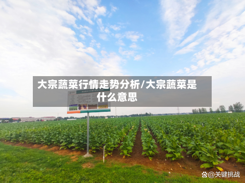 大宗蔬菜行情走势分析/大宗蔬菜是什么意思-第3张图片