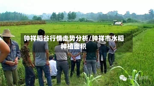 钟祥稻谷行情走势分析/钟祥市水稻种植面积