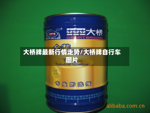 大桥牌最新行情走势/大桥牌自行车图片