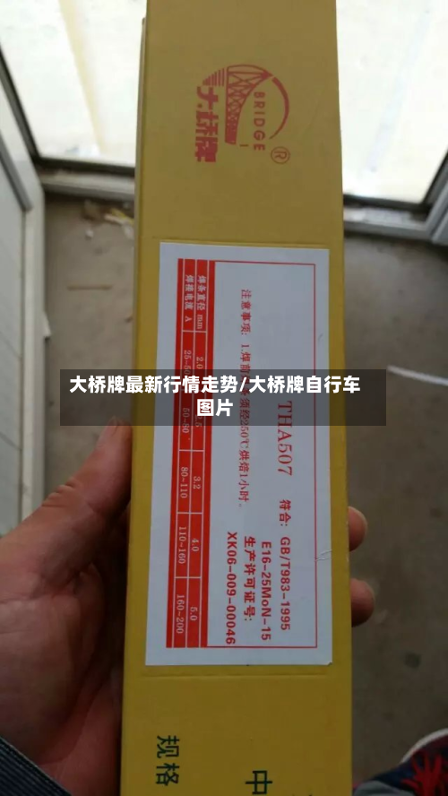 大桥牌最新行情走势/大桥牌自行车图片-第2张图片