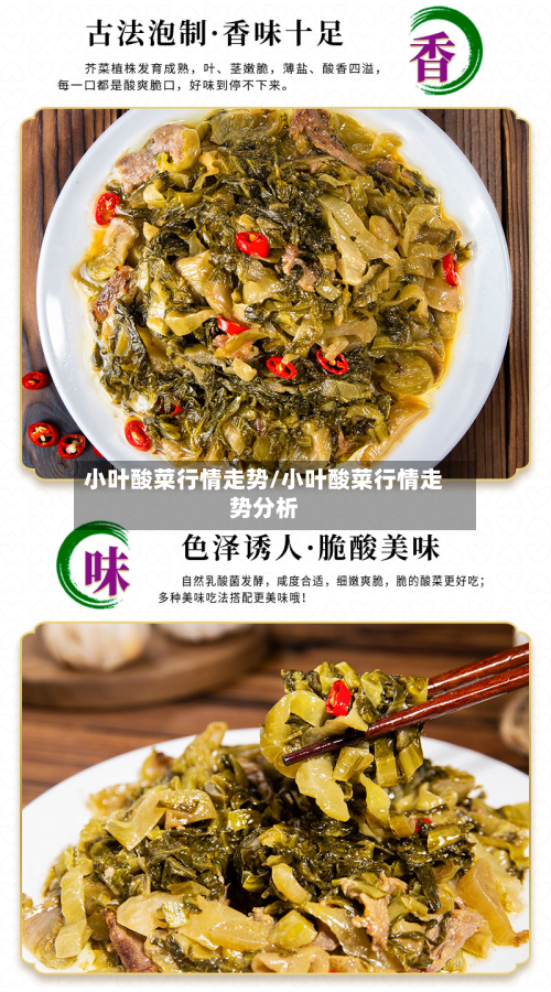 小叶酸菜行情走势/小叶酸菜行情走势分析