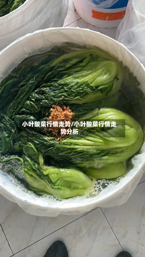 小叶酸菜行情走势/小叶酸菜行情走势分析-第3张图片