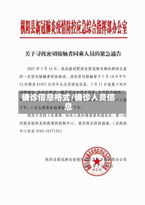 确诊信息格式/确诊人员信息-第2张图片