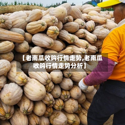【老南瓜收购行情走势,老南瓜收购行情走势分析】-第2张图片
