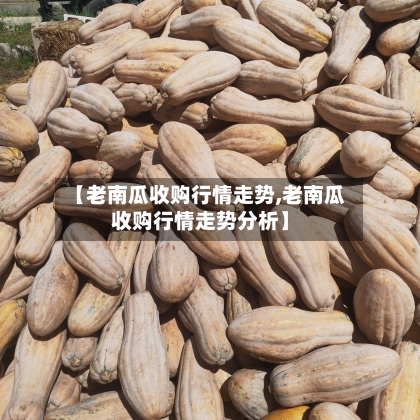 【老南瓜收购行情走势,老南瓜收购行情走势分析】