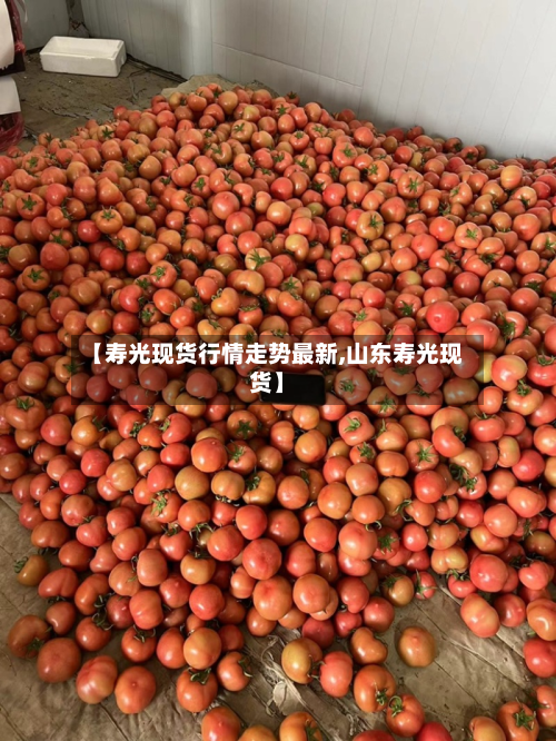 【寿光现货行情走势最新,山东寿光现货】