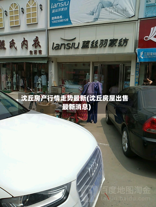 沈丘房产行情走势最新(沈丘房屋出售最新消息)-第2张图片