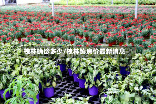 槐林确诊多少/槐林镇房价最新消息-第2张图片