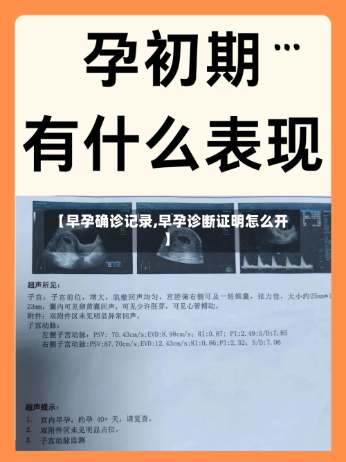 【早孕确诊记录,早孕诊断证明怎么开】