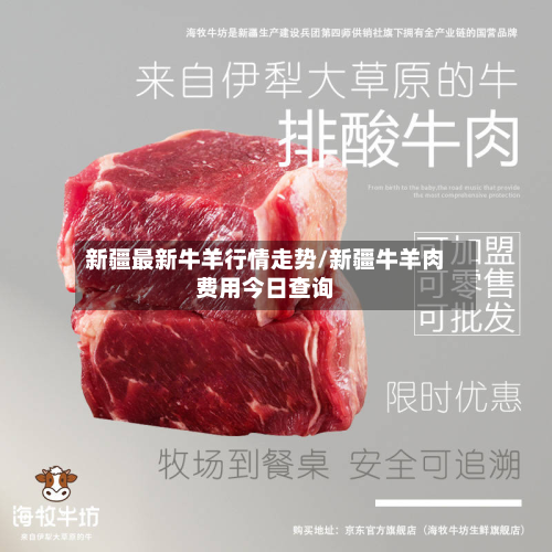 新疆最新牛羊行情走势/新疆牛羊肉费用今日查询