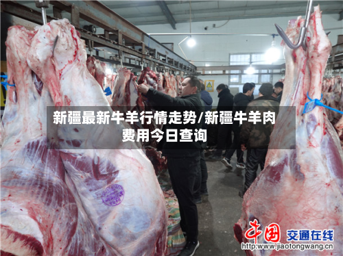 新疆最新牛羊行情走势/新疆牛羊肉费用今日查询-第2张图片