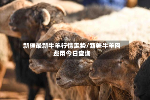 新疆最新牛羊行情走势/新疆牛羊肉费用今日查询-第3张图片