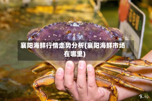 襄阳海鲜行情走势分析(襄阳海鲜市场在哪里)-第2张图片
