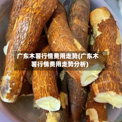 广东木薯行情费用走势(广东木薯行情费用走势分析)-第2张图片