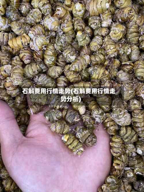 石斛费用行情走势(石斛费用行情走势分析)