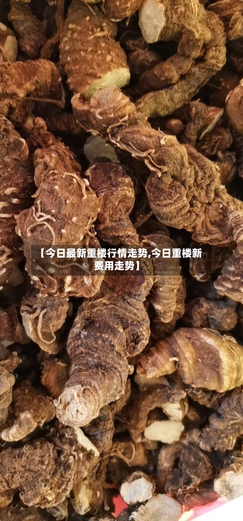 【今日最新重楼行情走势,今日重楼新费用走势】