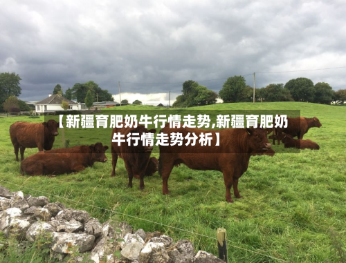 【新疆育肥奶牛行情走势,新疆育肥奶牛行情走势分析】