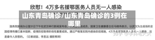 山东青岛确诊/山东青岛确诊的3例在哪里-第3张图片