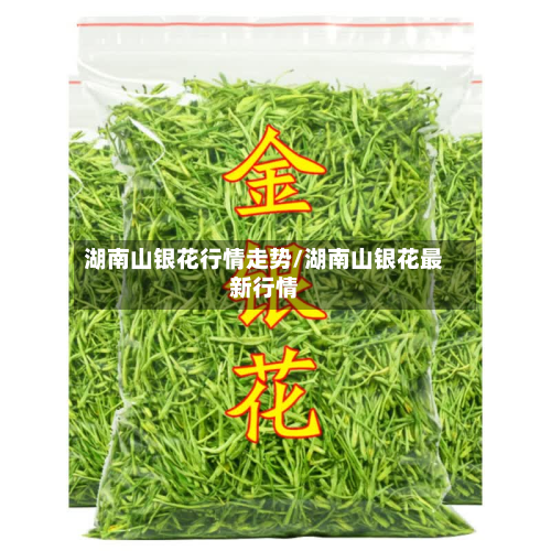湖南山银花行情走势/湖南山银花最新行情-第2张图片