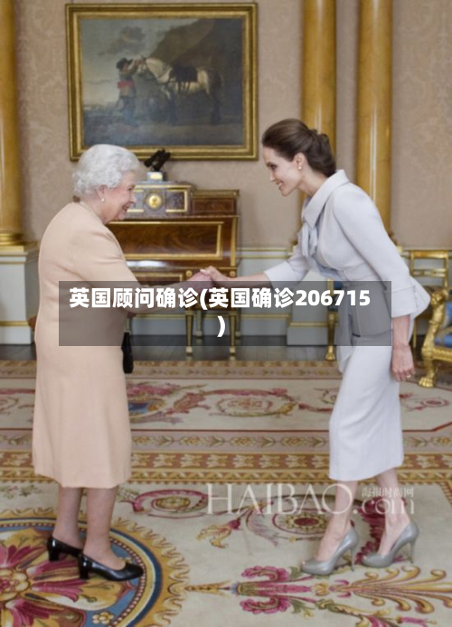 英国顾问确诊(英国确诊206715)-第2张图片