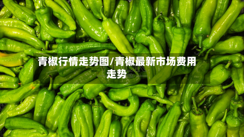青椒行情走势图/青椒最新市场费用走势