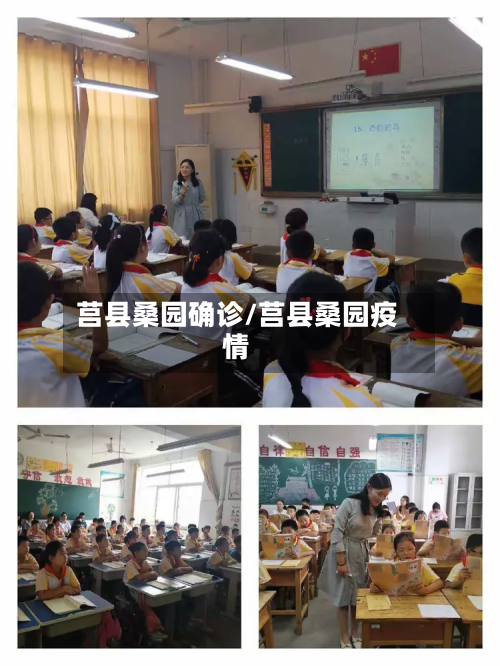 莒县桑园确诊/莒县桑园疫情