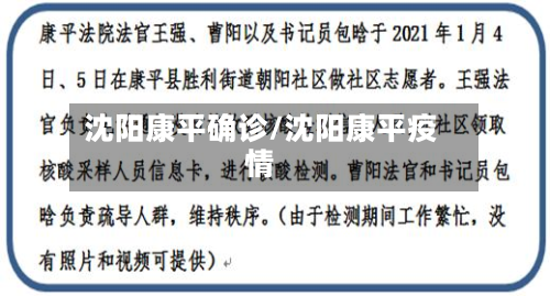 沈阳康平确诊/沈阳康平疫情-第3张图片