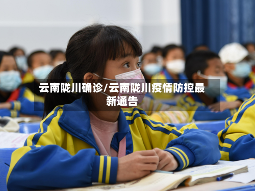 云南陇川确诊/云南陇川疫情防控最新通告-第2张图片