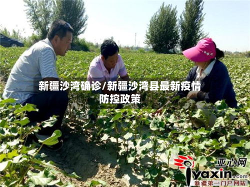 新疆沙湾确诊/新疆沙湾县最新疫情防控政策-第2张图片