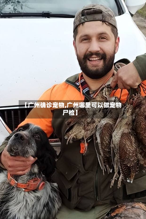 【广州确诊宠物,广州哪里可以做宠物尸检】-第2张图片