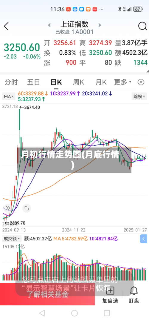 月初行情走势图(月底行情)